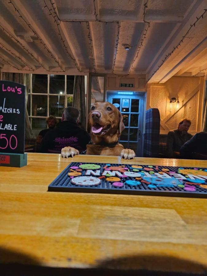 Dog And Partridge Inn Calne Kültér fotó